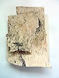 押し花素材　白樺（木の皮）Ａ４サイズ