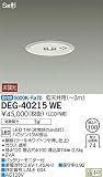 大光電機 非常灯 DEG40215WE