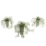 ほぼ自然Wild GrassシルクPlant 20.5" x 12" x 6" グリーン 4973-S3