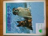 山岳救助犬ララ: ドキュメントロマン