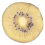 国華園　果樹苗　キウイ　ペアスター(メス木)　3株【※発送が国華園からの場合のみ正規品です】