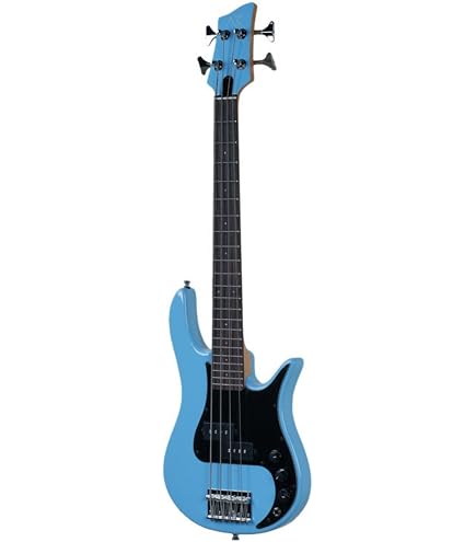 Amazon | 【ヘッドホン付】Pignose ピグノーズ PGB-200 BK アンプ内蔵