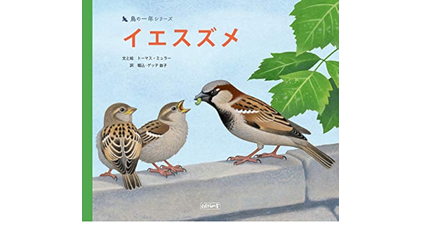 イエスズメ 鳥の一年シリーズ ミュラー トーマス ミュラー トーマス 堀込 ゲッテ 由子 本 通販 Amazon