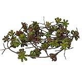 ポッシュリビング オビリデガーランド 80844