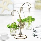 フラワースタンド フラワースタンド鍛鉄フラワースタンド鍛錬鉄文化3菜水 Flower racks (色 : C)