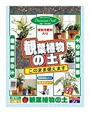 大宮グリーンサービス 観葉植物の土 2L