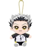 Amazon.co.jp: ハイキュー!! ふわコロりんMsize4（再販）D：岩泉 一