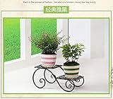Chen ZhiShan 観葉植物 フラワー スタンド 花台 階段状 プランター (2層-ブラック)