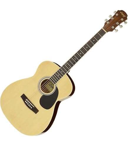 Amazon.co.jp: Legend by Aria FG-15/CS Acoustic Guitar Beginner Set