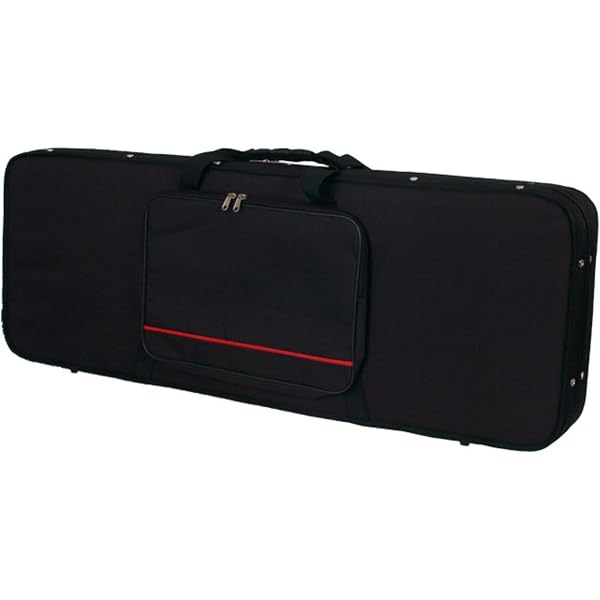 Amazon.co.jp: JACKSON (ジャクソン) エレキギター用ハードケース