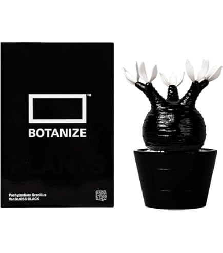 Botanize限定鉢×グラキリス Amazon.co.jp: BOTANIZE PLA POT BOWL ALL STUDS Black φ12cm 黒