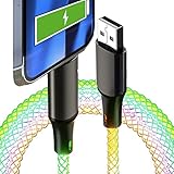 ACEDOAMARE USB Type C USB-C USB L 光る 充電 ケーブル PD対応 急速充電 LED フロー 充電 ケーブル 高速 充電 電話 ライト シャイニング 輝く RGB USBC ケーブル 転送 USB 充電 データ転送 ラップトップ タブレット パソコン 携帯電話 車 各種対応 (1m) ((12W) USB-A と果物ケーブル)