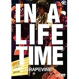 IN A LIFETIME (DVD盤)