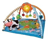 VTech Baby Line Lil' Critters Discover and Learn Gym [並行輸入品]