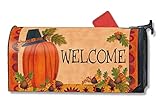MailWraps Pilgrim Pumpkinメールボックスカバー# 01234