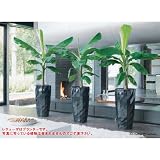 LECHUZA(レチューザ) ディアマンテ40 幅40cm 底面灌水セット付きプランター ホワイト LE-3240W