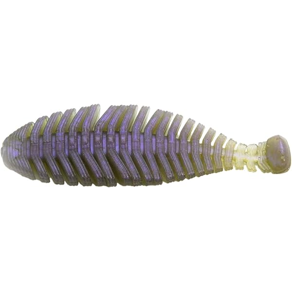 Amazon.co.jp: レイドジャパン カレッジR 6パネルキャップ