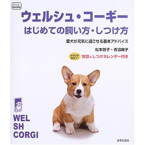 ウェルシュコーギー　額付プリント　アメリカン　シリアルナンバー付き ウェルシュコーギー 額付プリント アメリカン シリアルナンバー付き