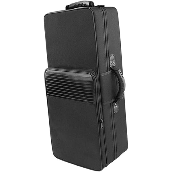 Amazon.co.jp: SKB コルネット用セミハードケース SC325 : 楽器・音響機器