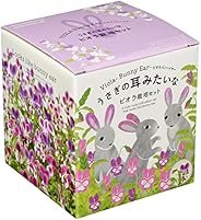 聖新陶芸 うさぎの耳みたいな ビオラ栽培セット パープル サイズ：約約W11.5 D11.5 H12.3 GD-968