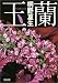 玉蘭 (朝日文庫)