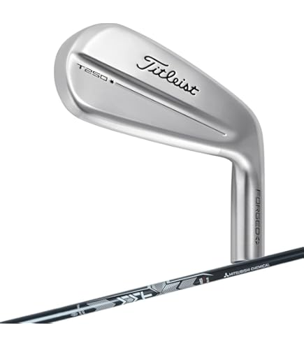 Amazon.co.jp: タイトリストアイアン 25 T250 4G RH New MMT Blue S 5