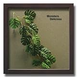 「Monstera Deliciosa3」【リーフコレクション】(リーフインテリアフレーム)【人工観葉植物フレーム】[絵画通販]【絵のある暮らし】