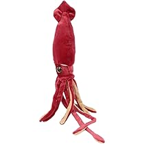 ダイオウイカのぬいぐるみ Amazon.co.jp: くったり ダイオウイカ 超BIG ぬいぐるみ