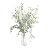 COVENT GARDEN ベスビウス・ブッシュ TO-02