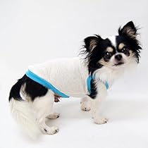 Amazon | 犬服工房Tシャツ&パーカ型紙 フレンチブルドッグ FS