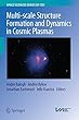 Multi-scale Structure Formation and Dynamics in Cosmic Plasmas (Space Sciences Series of ISSI)