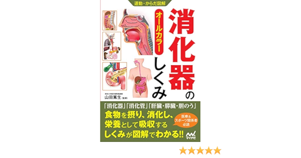運動 からだ図解 消化器のしくみ 山田篤生 本 通販 Amazon