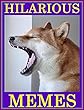 Hilarious Memes. Super Book Of Funny Memes And Jokes: A lot Of Star Wars And Dogs Memes (English Edition)