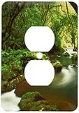 3dRose lsp_209358_6 Stream Near Bridal Veil Falls, Sabie, Mpumalanga, South Africa. - 2 Plug Outlet 