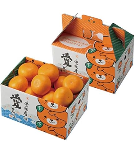 Amazon.co.jp: みかん 麗紅 れいこう 秀品 3L～Lサイズ 2.5kg はまさき