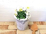 鉢 植木鉢 おしゃれ 素焼き鉢 テラコッタ 陶器 アンティーク バラの彫刻の調和が美しいアンティーク調の鉢【ローズレザン・サークルM】