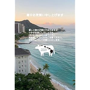 寒中見舞いハガキ【10枚】令和3年(2021年)丑年【特別価格】新型コロナ収束願い・くじ付きハガキ【ハッピーハワイオリジ…