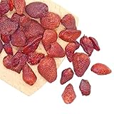 カジュベース 無添加 ドライイチゴ ストロベリー ドライフルーツ (500g)