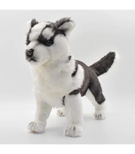 Amazon.co.jp: Steiff シュタイフ キッズ ハスキーのバーニー 17