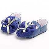 Isbasic ベビー・ガールズ カラー: ブルー