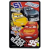 スケーター (skater)マスクケース 小さめサイズ用 小物 カード ポケットティッシュ 収納 カーズ ディズニー MKC2