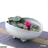 charm(チャーム) (ビオトープ/睡蓮) 益子de姫睡蓮(ヒメスイレン) セット 足付楕円鉢 白マット 姫睡蓮(ヒメスイレン) 赤 説明書付 【生体】