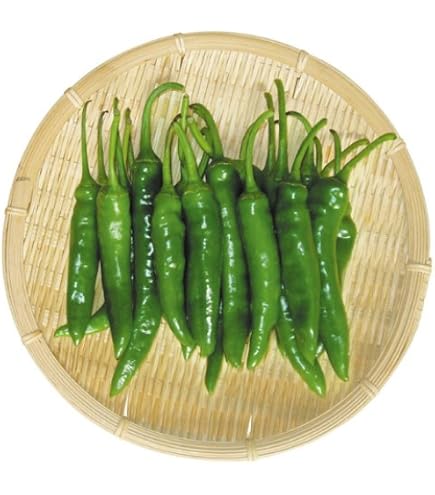 Amazon.co.jp: 辛い生青唐辛子 200g : 食品・飲料・お酒