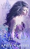 Crystal Kingdom (Embracing Chaos Saga Book 1) (English Edition)