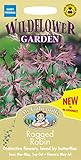 【輸入種子】Wildflower Garden Ragged Robin=Lychnis flos-cuculi ラッグド・ロビン（リクニス・フロス・ククリ） 花 Mr.Fothergill's Se