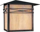 Maxim Lighting 8047IRBU, Taliesin 1-Light Outdoor Wall Lantern, Burnished [並行輸入品]