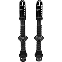 Amazon.co.jp: WTB Max-Flow チューブレスタタイヤバルブ、44mm