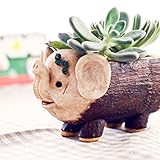 Non-brand ふくらはぎ象の切り株フラワーセダムシャンプーポットプランター盆栽ボックスプラントベッド