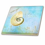 3dRose ct_79344_4 Inspired Shell Beach Themed Art Ceramic Tile, 12" [並行輸入品]