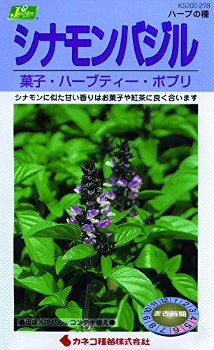 カネコ種苗 ハーブタネ278 ハーブ シナモンバジル 10袋セット 工具専科